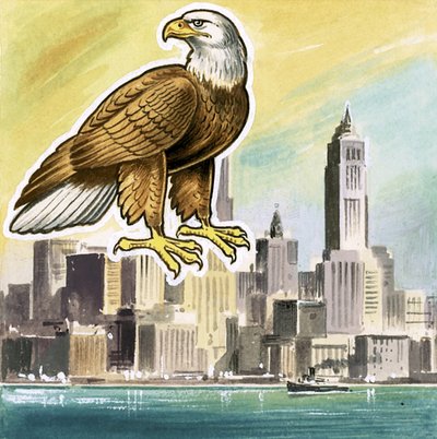 Den kala örnen, USA:s emblem av English School