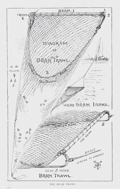 bomtrålen (litho) av English School