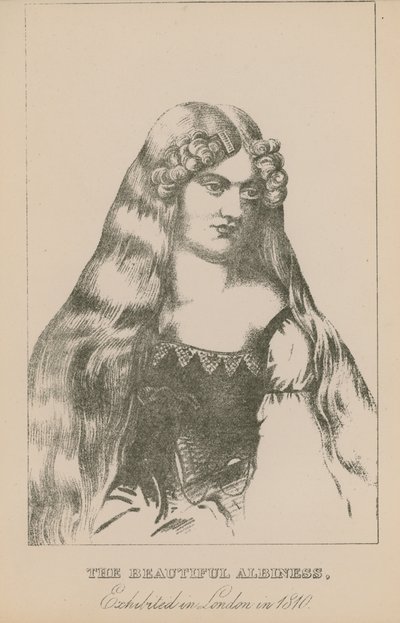 Den vackra albiniteten, utställd i London 1810 av English School