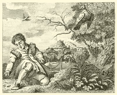 Duvan och myran (gravyr) av English School
