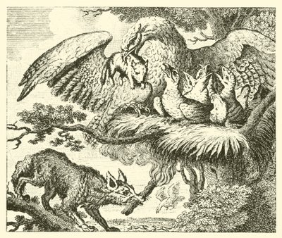Örnen och räven (gravyr) av English School