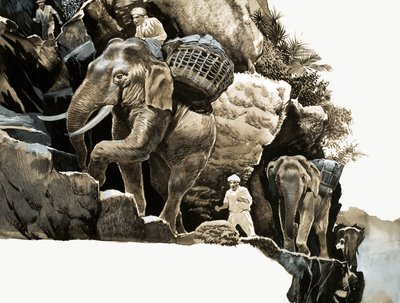 Elephant Bills elefantvandring av English School