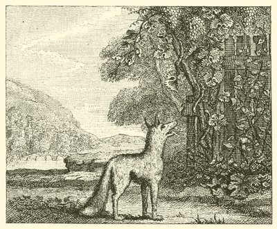 Räven och druvorna (gravyr) av English School