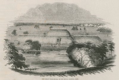 Det stora palmhuset vid Royal Gardens, Kew, London av English School