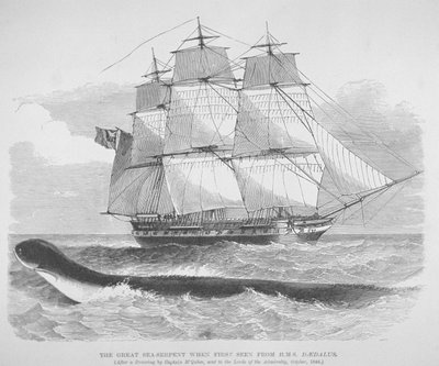 Den stora sjöormen när den först sågs från HMS Daedalus 1848, ca 1848 (gravyr) av English School