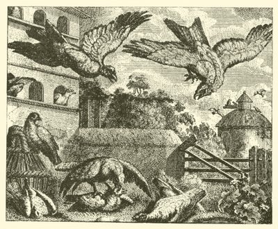 Draken och duvorna (gravyr) av English School