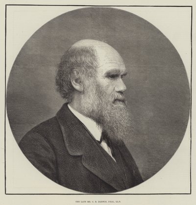 Den framlidne Mr CR Darwin, FRS, LLD av English School