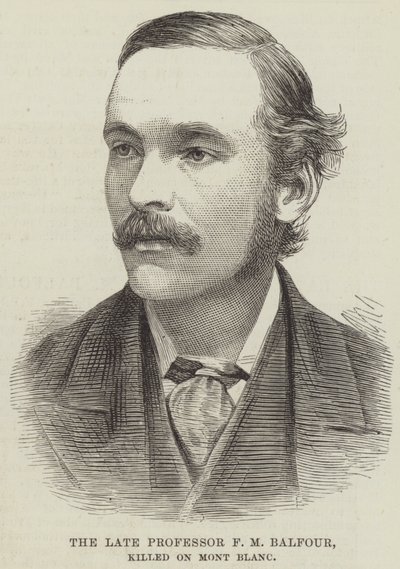 Den framlidne professor F M Balfour, dödad på Mont Blanc (gravyr) av English School