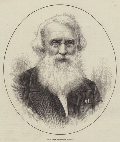 Den avlidne professor Morse (gravyr) av English School