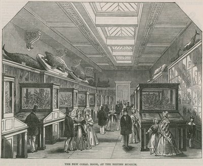 Det nya korallrummet på British Museum av English School