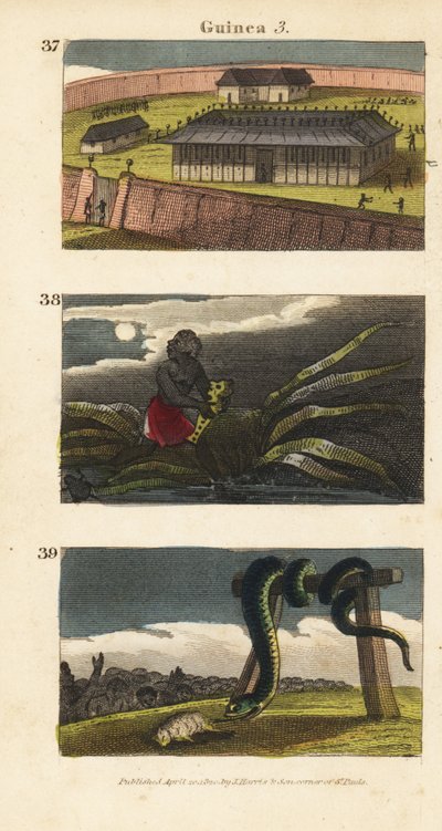 Palatset för kungen av Dahomey på Abomey 37, en afrikansk man som döljer en fetisch 38 och människor i Whydah som dyrkar en enorm orm 39 av English School