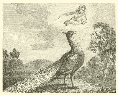 Die Beschwerde des Pfaus von English School