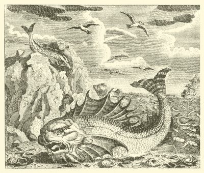 Tunnan och delfinen (gravyr) av English School