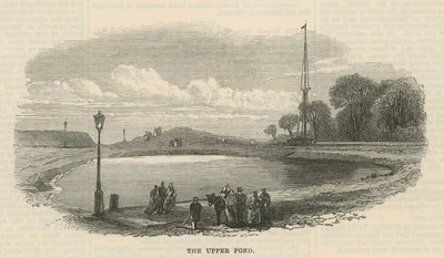 Den övre dammen, Hampstead Heath av English School