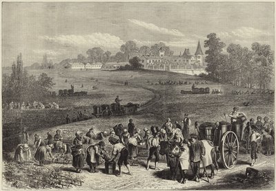 Årgången i Medoc av English School