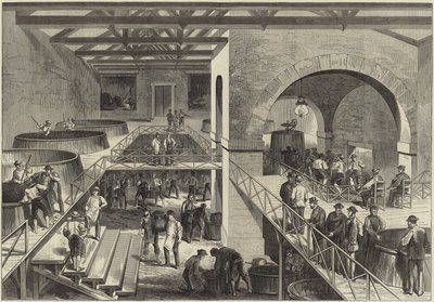 Årgången av Medoc av English School