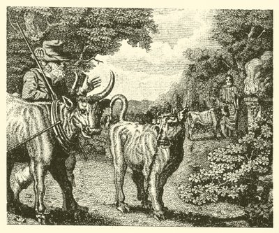 Den vildsinta kalven (gravyr) av English School
