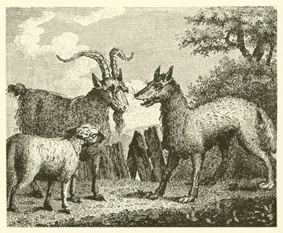 Vargen, lammet och geten (gravyr) av English School