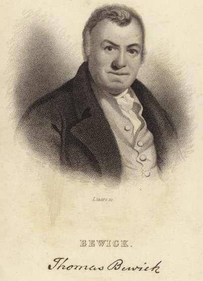 Thomas Bewick av English School