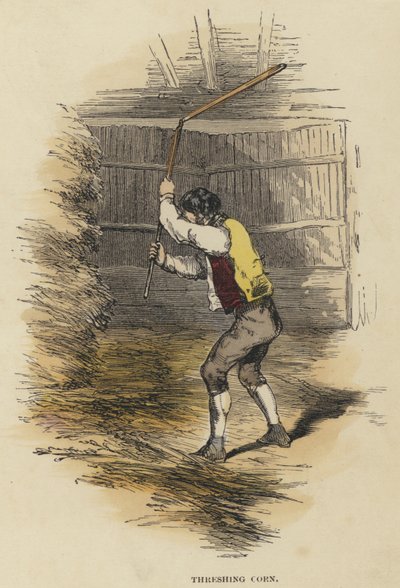 Tröska majs (färgad gravyr) av English School