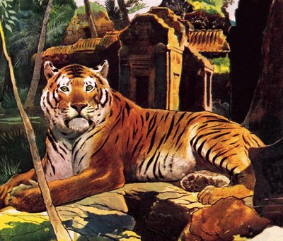 Tiger i ruinerna av English School