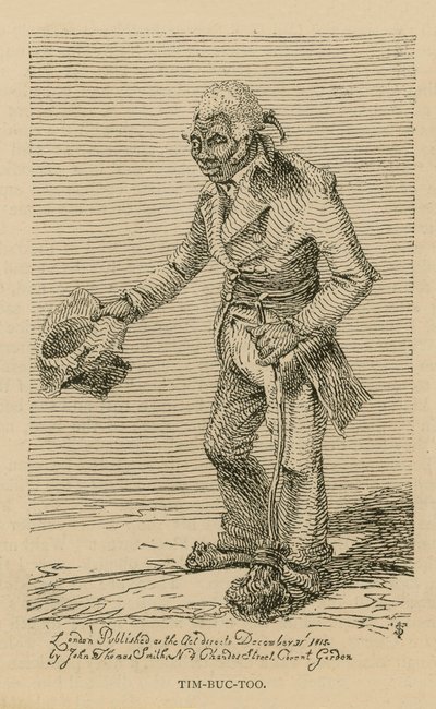 Tim-buc-också av English School