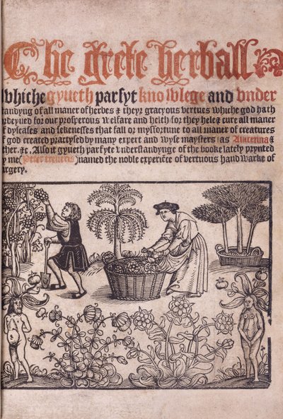 Titelsida som illustrerar en trädgårdsscen med figurer, 1529 av English School