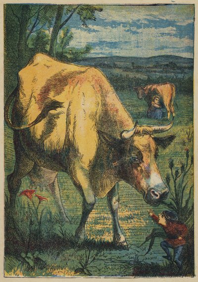 Tom Thumb and the Cow (färg litho) av English School