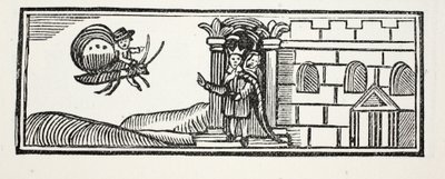 Tom gömde sig och försökte fly på ryggen av en fjäril, illustration från Chap-books of the Eighteenth Century av John Ashton, pub. 1882 av English School