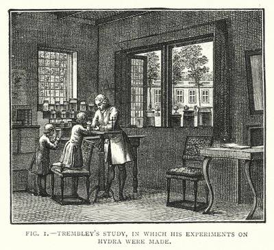 Trembleys studie, där hans experiment på Hydra gjordes (gravyr) av English School
