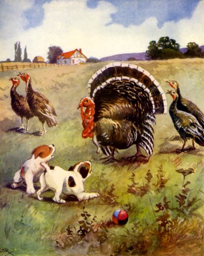 Kalkoner i trubbel (färg litho) av English School
