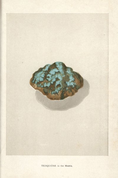 Turkos i matrisen, från Edwin Streeters "Precious Stones and Gems", London, George Bell & Sons av English School