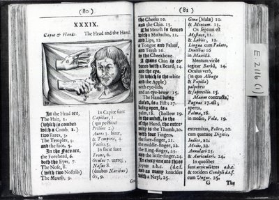 Två sidor från Orbis Sensual Pictus av Comenius, 1659 av English School