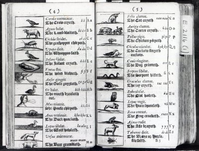 Två sidor från Orbis Sensual Pictus av Comenius, 1659 av English School