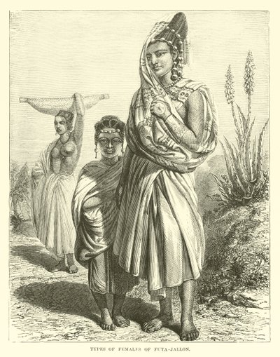 Typer av honor av Futa-Jallon av English School