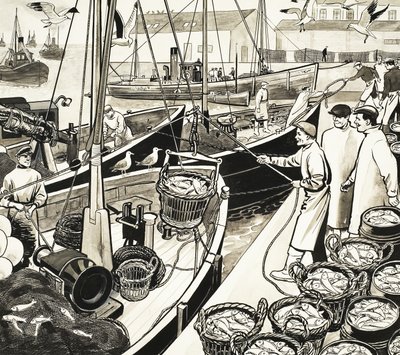 Oidentifierad fiskehamn med fisk vid kajen av English School