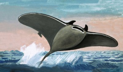 Oidentifierad flygande fisk av English School