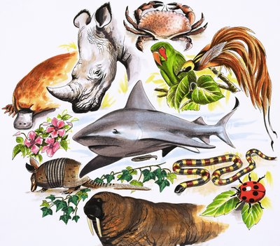 Uidentificeret montage af animalsswed av English School