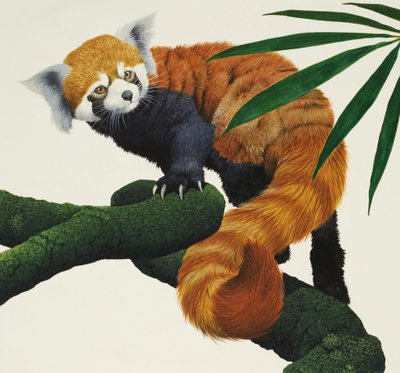 Oidentifierat litet pälsdjur av English School