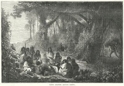 Övre Amazoner - Indianer äter (gravyr) av English School