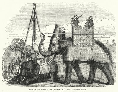 Elefantens användning i orientalisk krigföring i modern tid (gravyr) av English School
