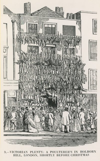 Victorian Plenty av English School
