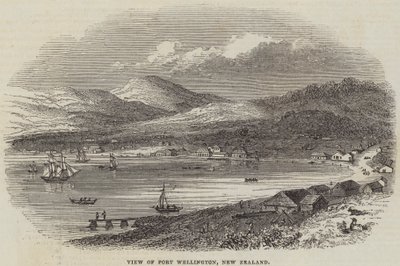 Vy över Port Wellington, Nya Zeeland (gravyr) av English School