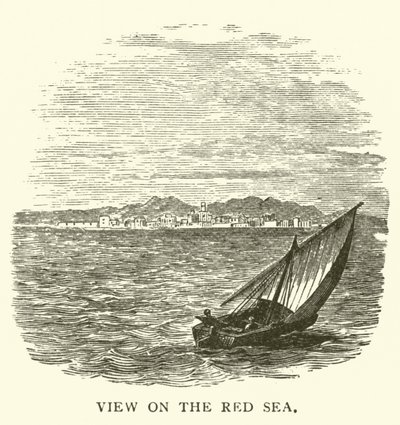 Utsikt över Röda havet (gravyr) av English School