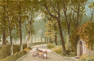 Vinchelez Lane - Jersey av English School
