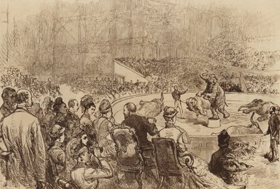 Besök av prinsen och prinsessan av Wales och kungen och drottningen av Grekland, 1876 av English School