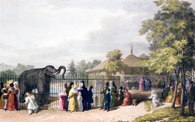 Besökare på London Zoo, Regent