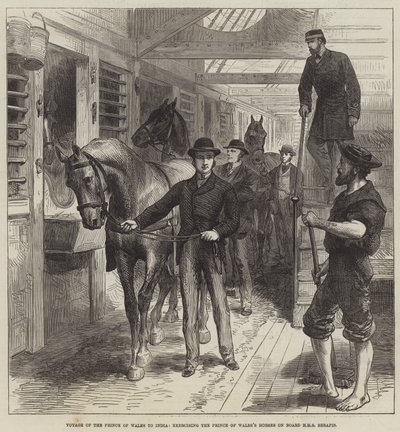 Prinsen av Wales resa till Indien, övning av Prince of Wales hästar ombord på HMS Serapis (gravyr) av English School