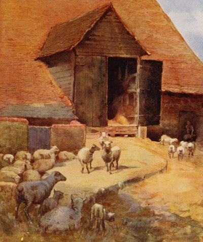 Waiting to Be Shorn (litho i färg) av English School