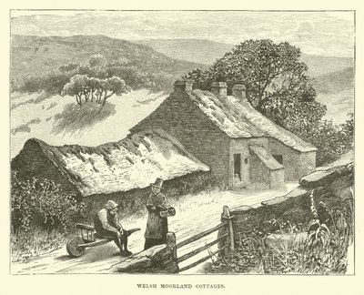 Welsh Moorland stugor av English School